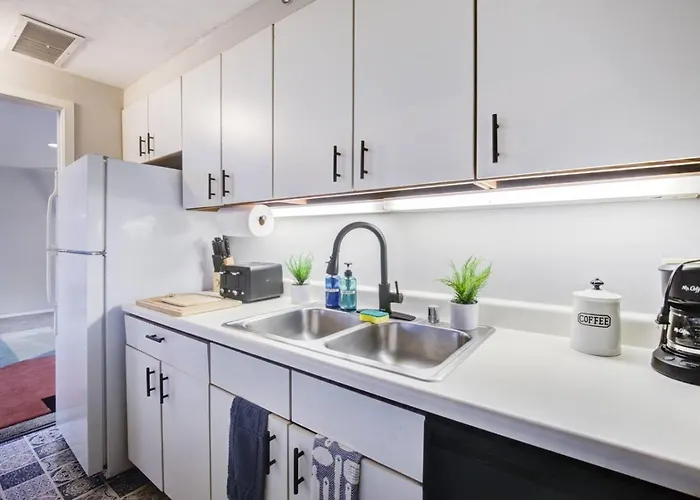 Appartement Huge Downtown Penthouse Park, Museums Gym #4 Chicago