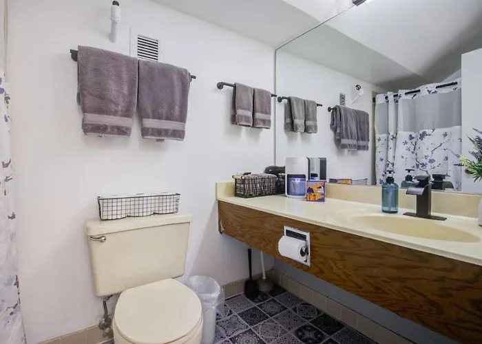 Appartement Huge Downtown Penthouse Park, Museums Gym #4