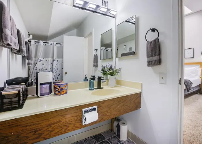 Huge Downtown Penthouse Park, Museums Gym #4 Chicago