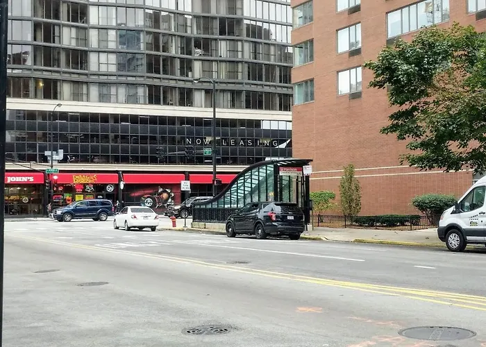 Huge Downtown Penthouse Park, Museums Gym #4 * Chicago